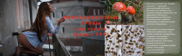mdpv Богородицк