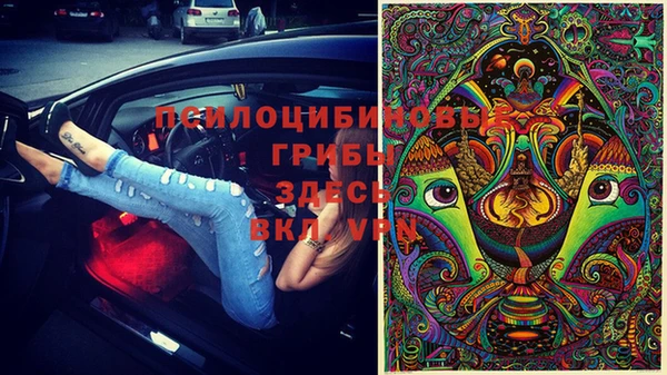 Альфа ПВП Балабаново