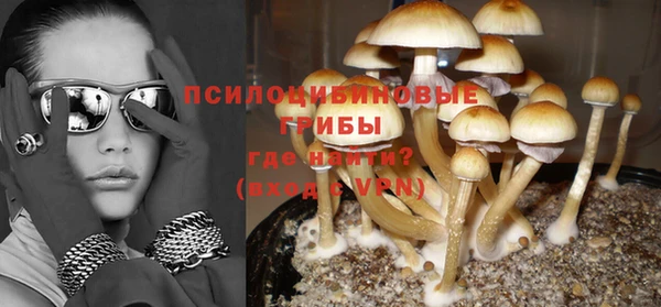 амф Белокуриха