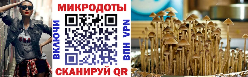 Псилоцибиновые грибы мухоморы  Реутов 